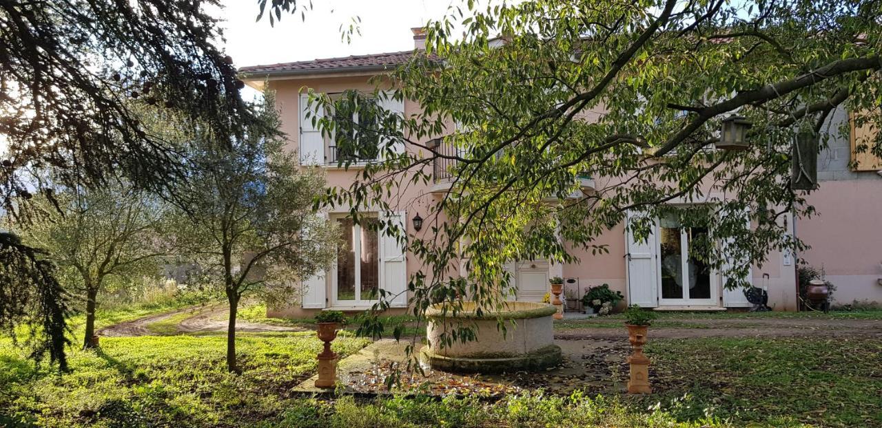 L'Ecrin De Vert Saint-Alban-du-Rhône Exteriér fotografie